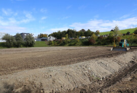 Web_2020_10_06_Luterbach_Rasenfeld_neu_4697.jpg
