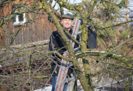 Bezirksrat_Hunziker_Fledermaus.jpg