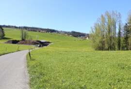 Web_Kompostieranlage_8752.jpg