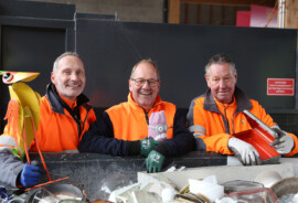 web_Sammelstelle_Team_4355.jpg