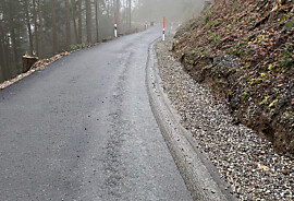 Web_Seebodenstrasse_Abschnitt.jpg
