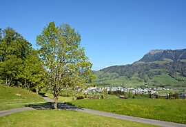 web_landschaftsentwicklungskonzept_9087.jpg