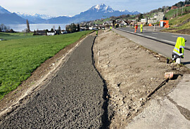 Web_Luzernerstrasse_Merlischachen_5080.jpg