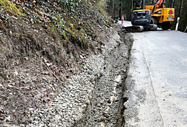 Web_20230417 Hangentwässerung Schutzzone Seebodenstrasse.jpg