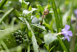 web_umwelttipp-1-gruenes-paradies-bild-leer.jpg