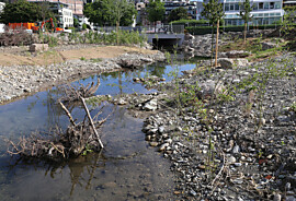 2024_06_18_Bäche_7940.jpg