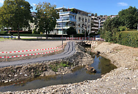 web_2024_09_18_Giessenbach_Lindenhofwiese_4731.jpg