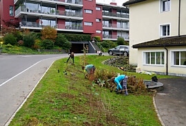 web_Ingenieure-Seemattweg-6.jpg