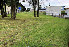 Hundewiese.jpg